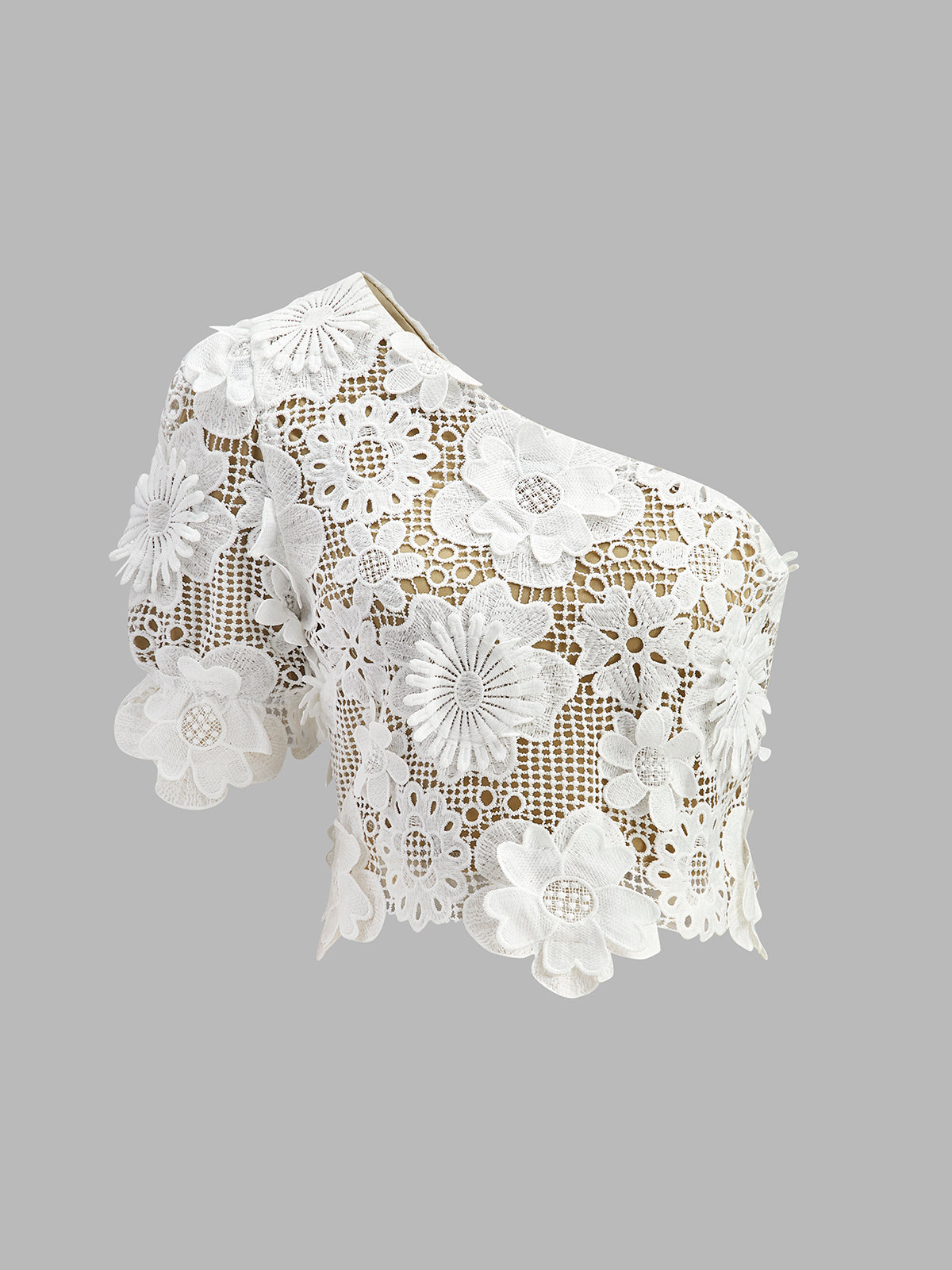 Embroidered Lace Two Piece Set with Cropped Top and Midi Skirt