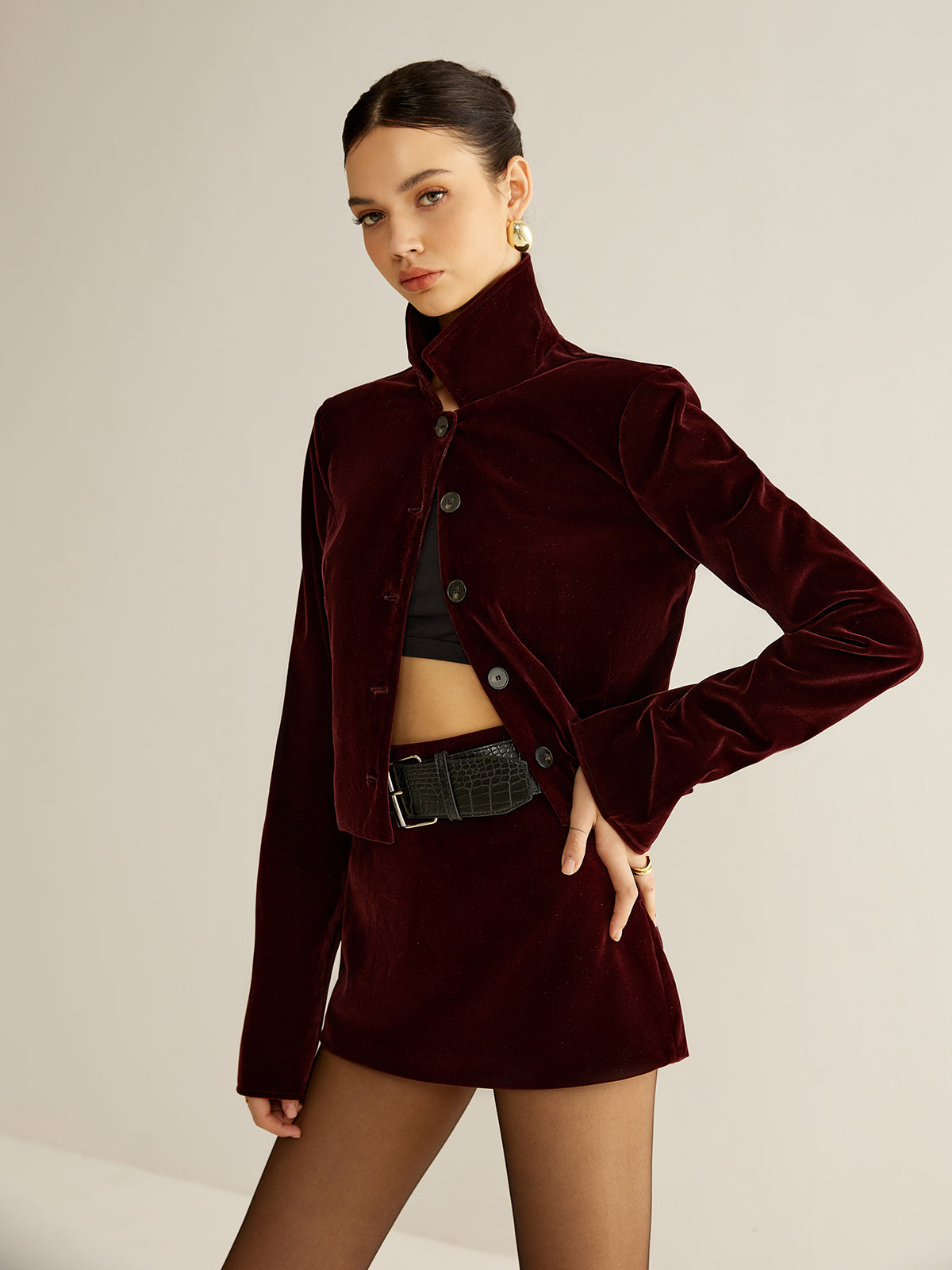 Velvet Long Sleeve Top with Regular Fit and Hip Length Cut