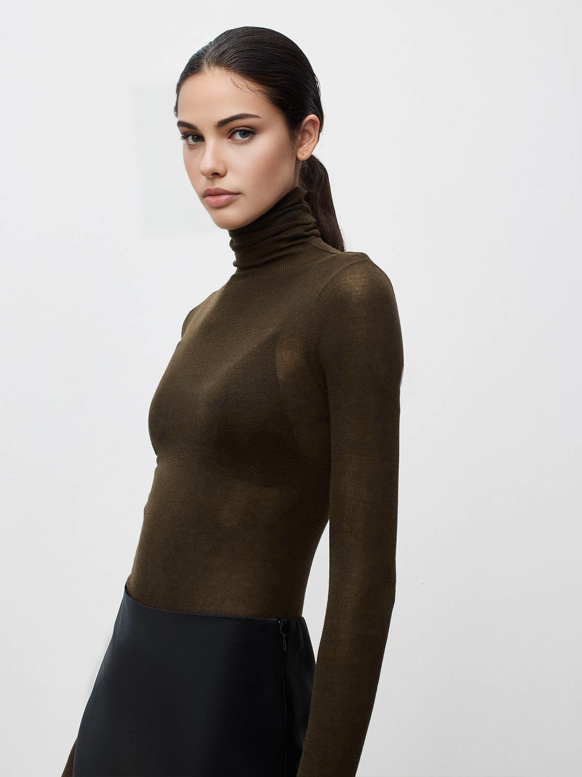 Wool Blend Sheer Turtleneck with Moderate Stretch and Regular Fit