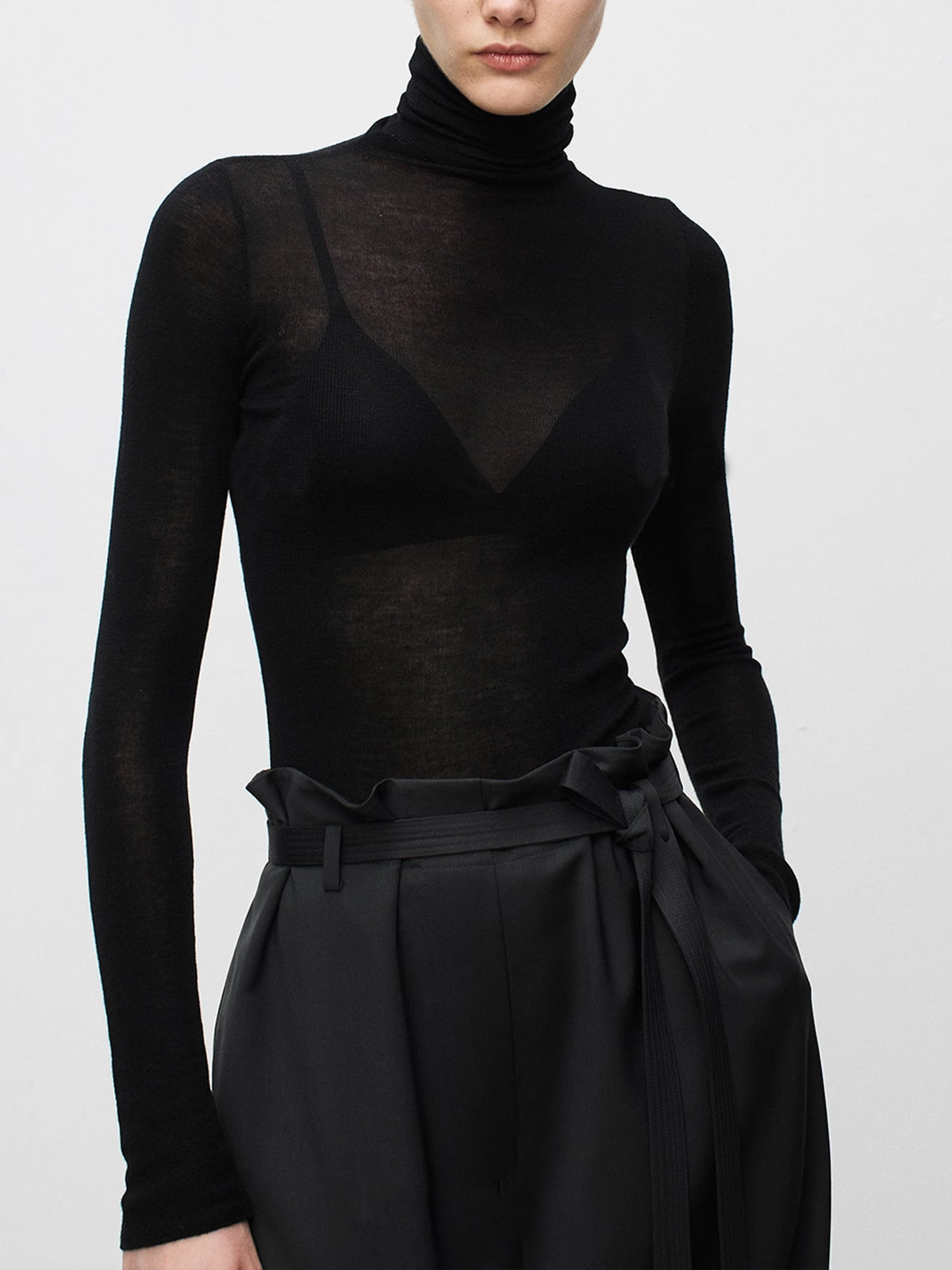 Wool Blend Sheer Turtleneck with Moderate Stretch and Regular Fit