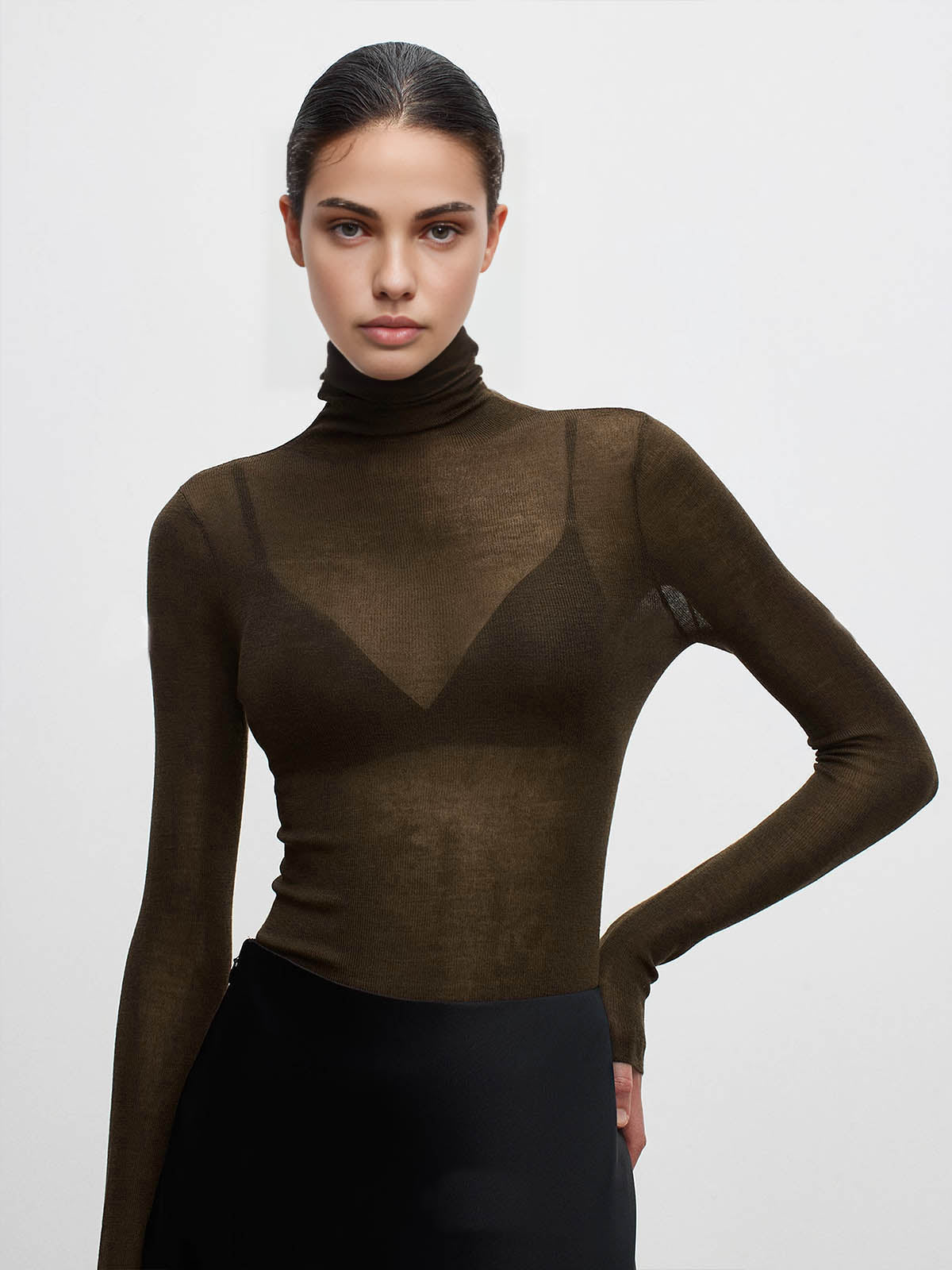 Wool Blend Sheer Turtleneck with Moderate Stretch and Regular Fit