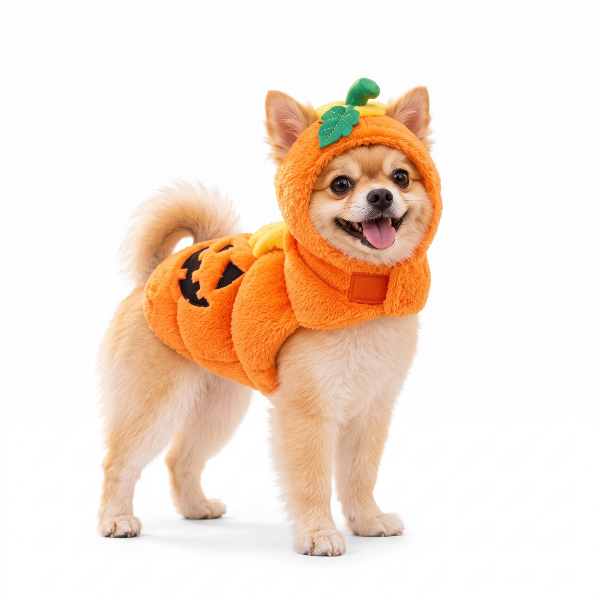 Pumpkin Dog Halloween Costume, 3D Plush Jack O Lantern Outfit with Easy Hook and Loop Fit for Parties and Photos