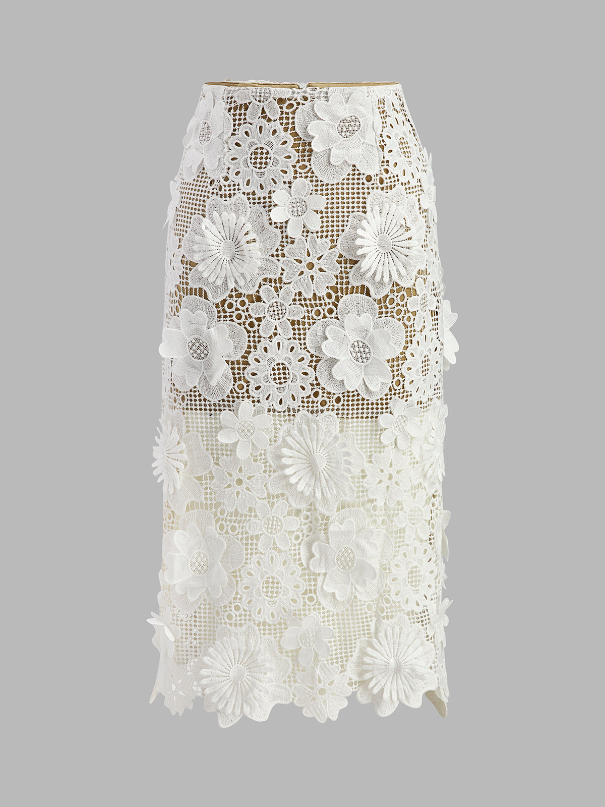 Embroidered Lace Two Piece Set with Cropped Top and Midi Skirt