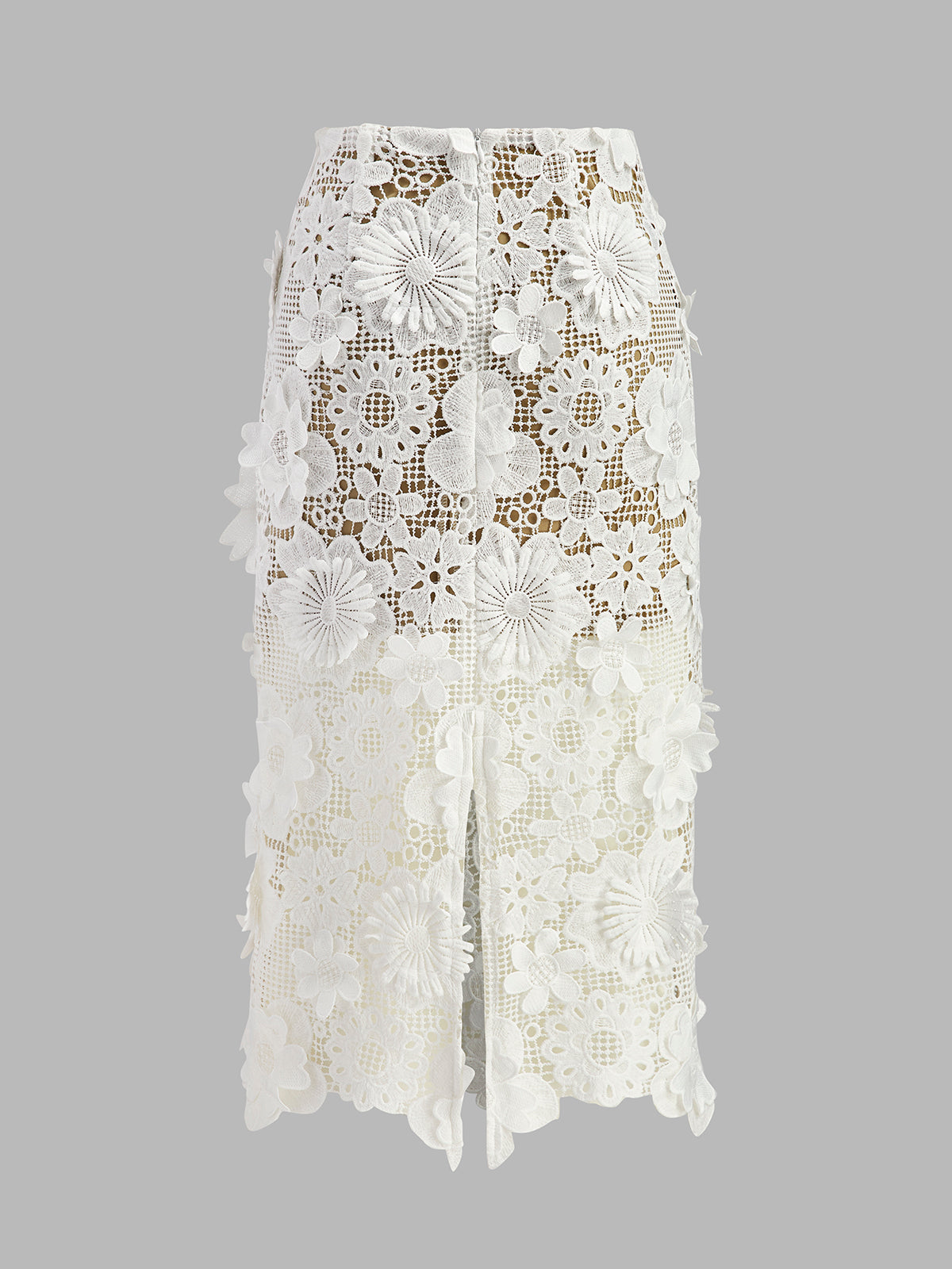 Embroidered Lace Two Piece Set with Cropped Top and Midi Skirt