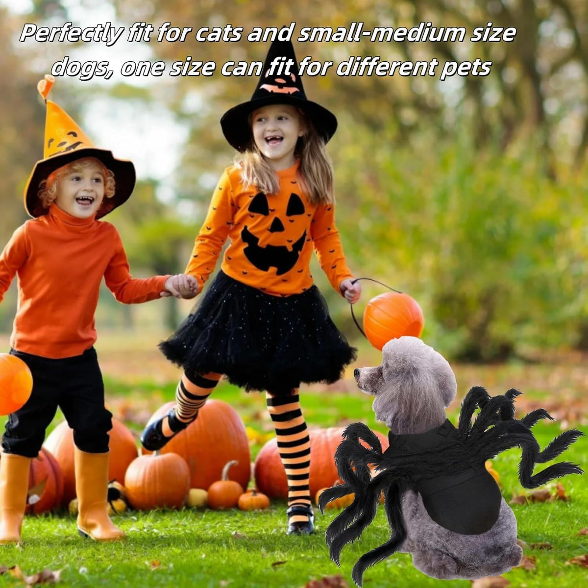 Halloween Spider Costume for Dogs and Cats, Adjustable Velcro Pet Costume for Small and Medium Dogs and Cats