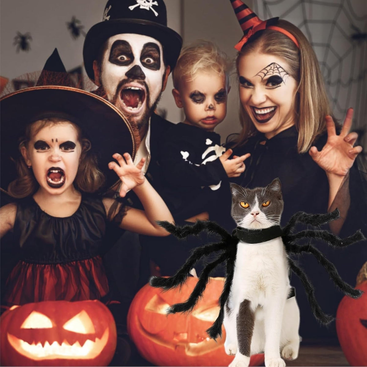 Halloween Spider Costume for Dogs and Cats, Adjustable Velcro Pet Costume for Small and Medium Dogs and Cats