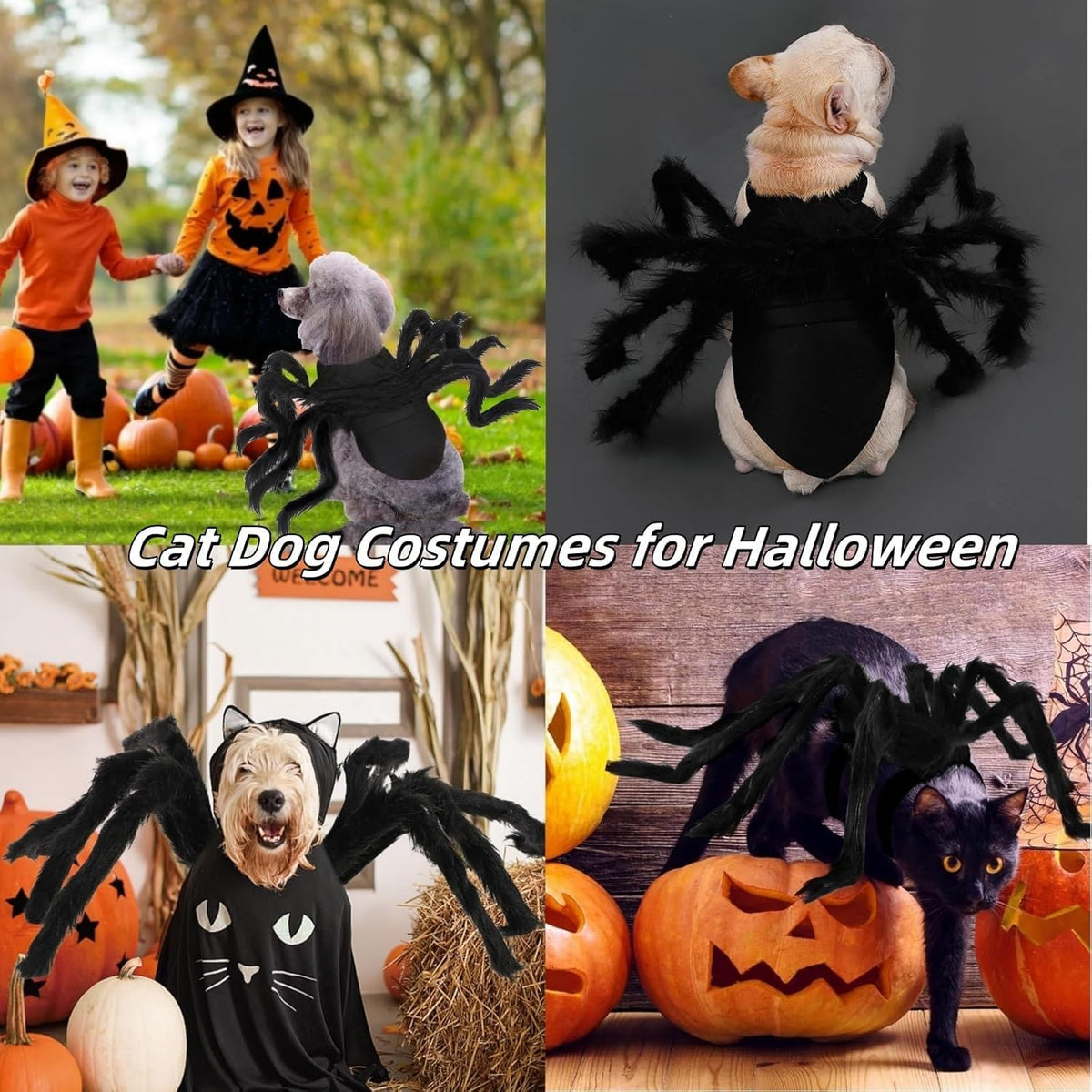 Halloween Spider Costume for Dogs and Cats, Adjustable Velcro Pet Costume for Small and Medium Dogs and Cats
