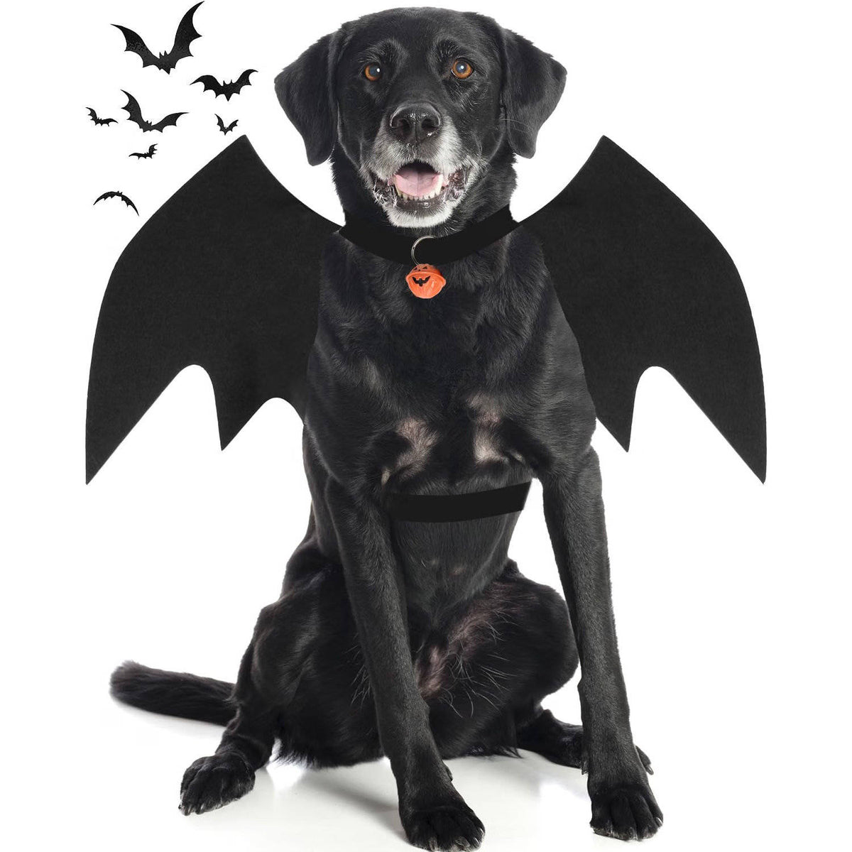 Dog Halloween Costume for Large Dogs, Bat Wings with Pumpkin Bell for Halloween Cosplay Parties and Dress Up