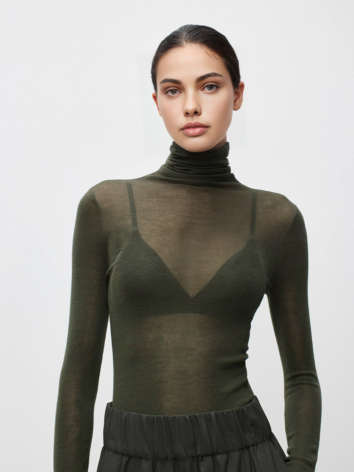Wool Blend Sheer Turtleneck with Moderate Stretch and Regular Fit